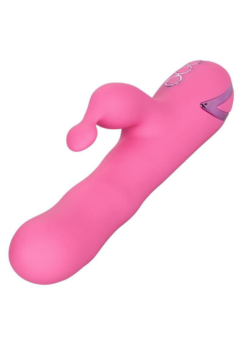 Vibrator Rabbit Santa Barbara California Dream