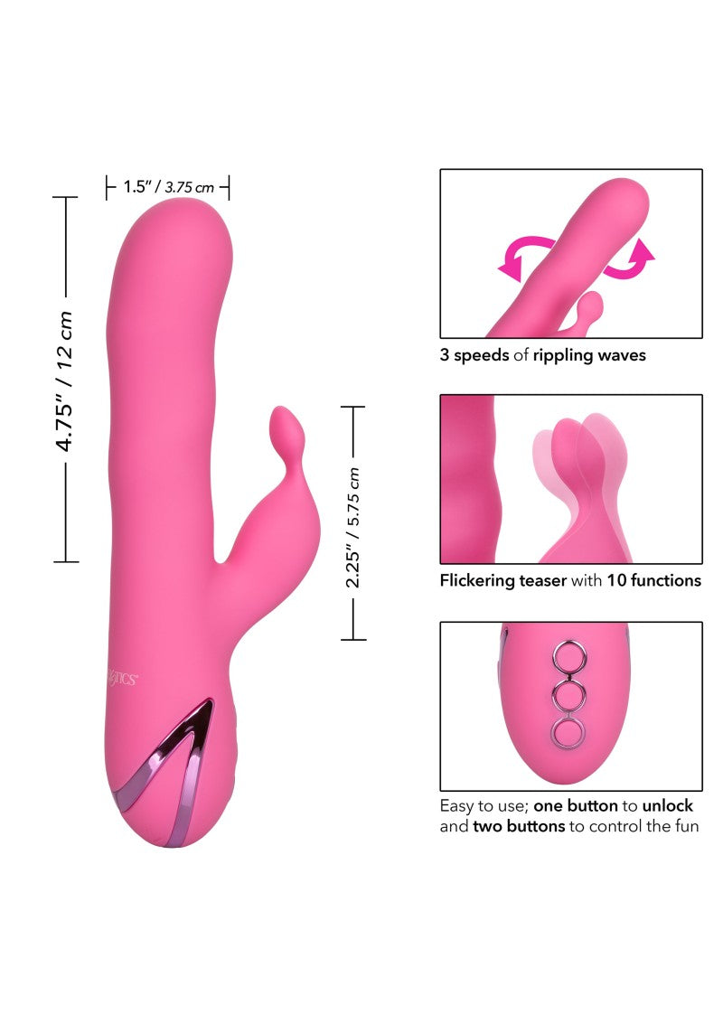 Vibrator Rabbit Santa Barbara California Dream